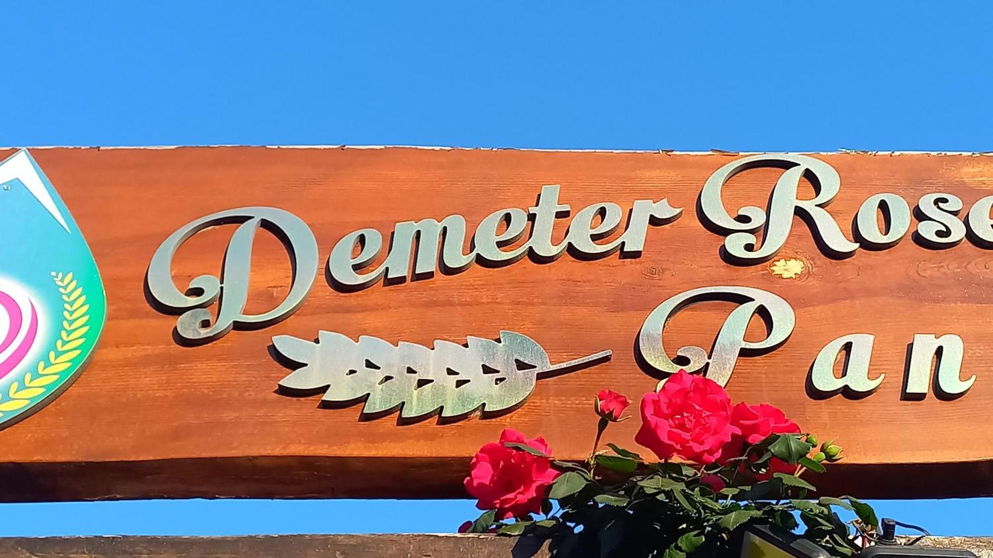 Demeter Rose Stonehouse Pansion Apartment อันตัลยา ภายนอก รูปภาพ